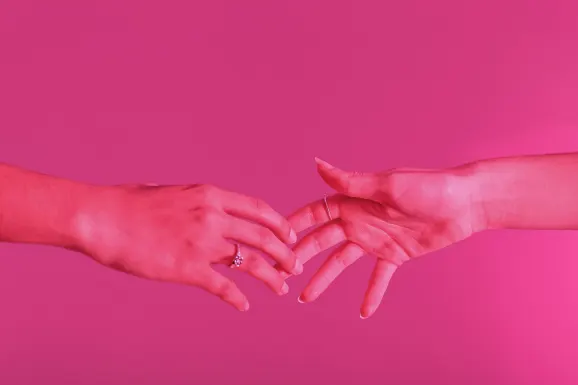 Iwild Kasino Podrška